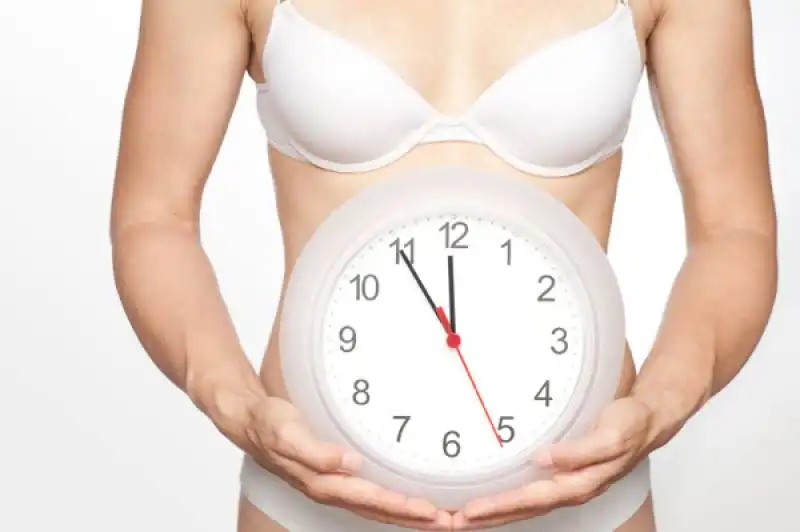 biological clock