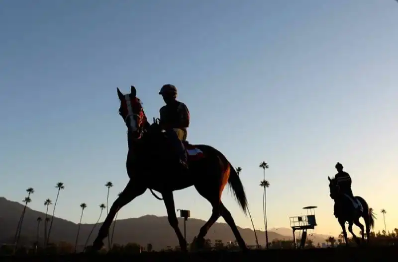 breeders cup 2014