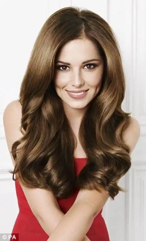 cheryl fernandez versini