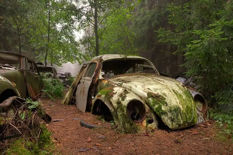 cimitero auto foresta belga 002