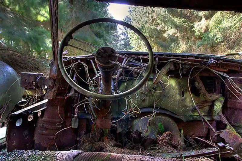 cimitero auto foresta belga 005