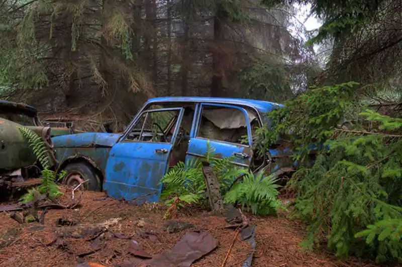 cimitero auto foresta belga 008