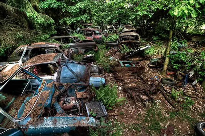 cimitero auto foresta belga 011