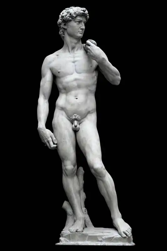 David Michelangelo