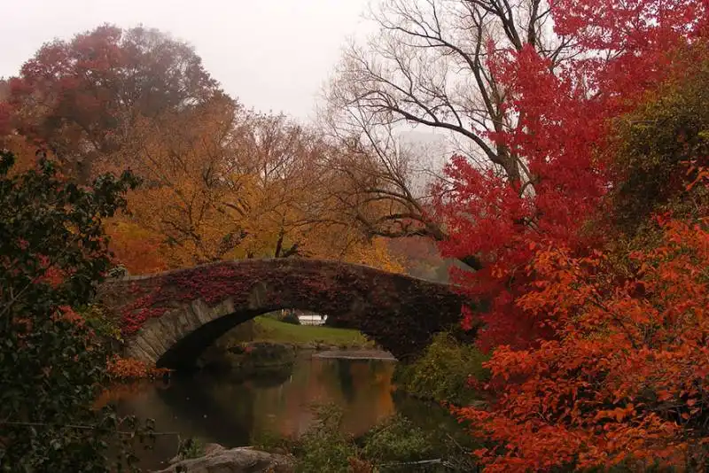 gapstow bridge, new york, stati uniti d'america1