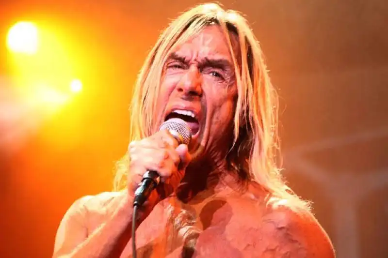 iggy pop