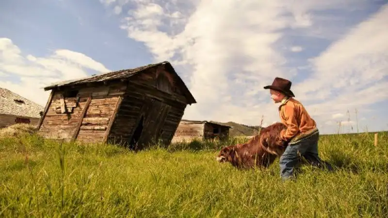 lo straordinario viaggio di t.s. spivet