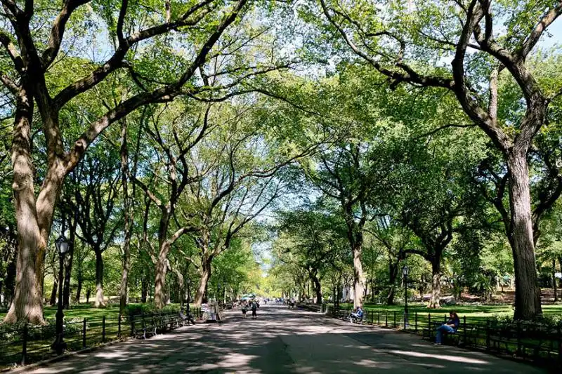 poetâ€™s walk, central park, new york, usa