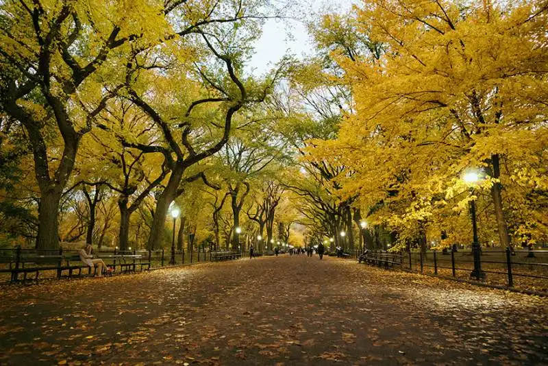 poetâ€™s walk, central park, new york, usa1