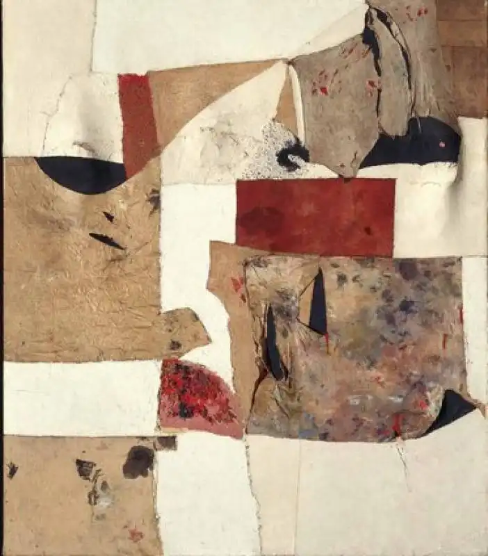 BURRI 8