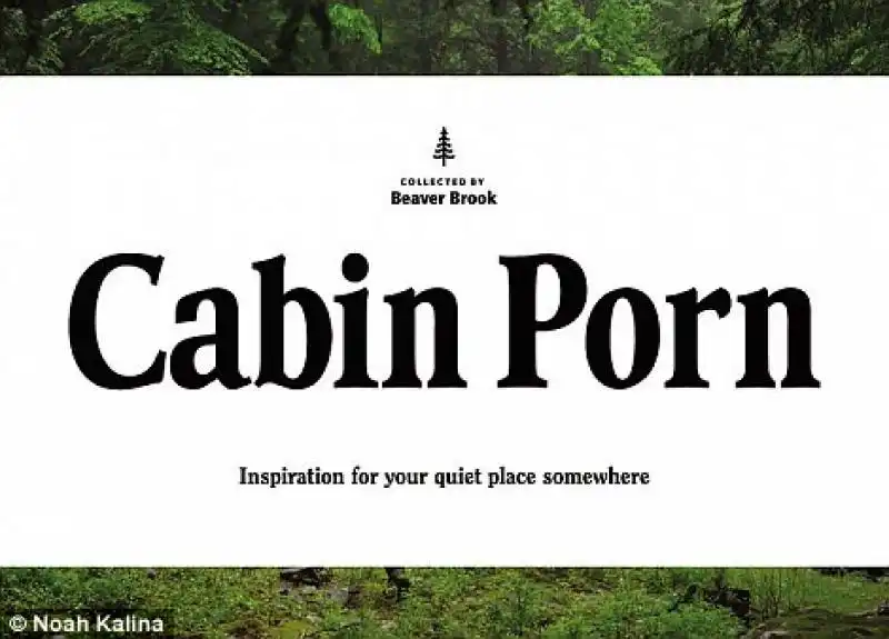 cabin porn