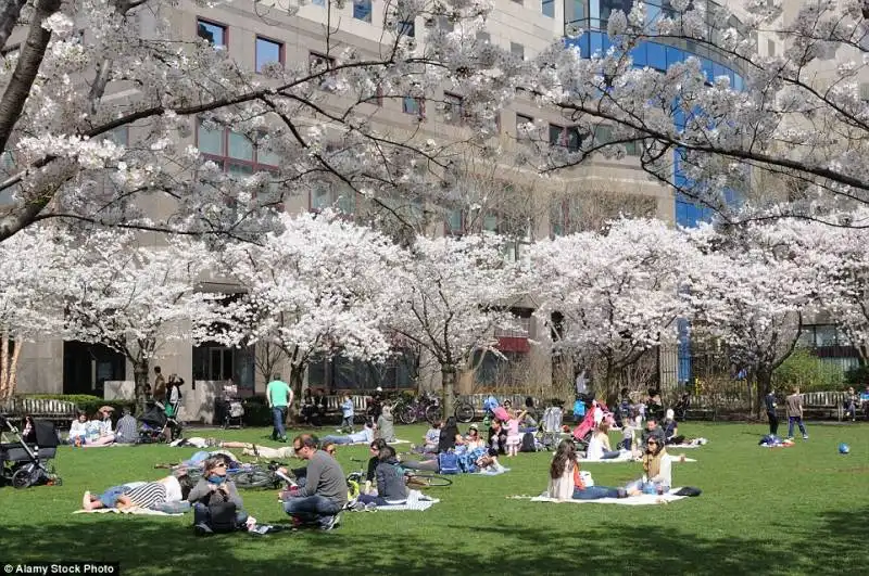 cittadini si riposano al battery park