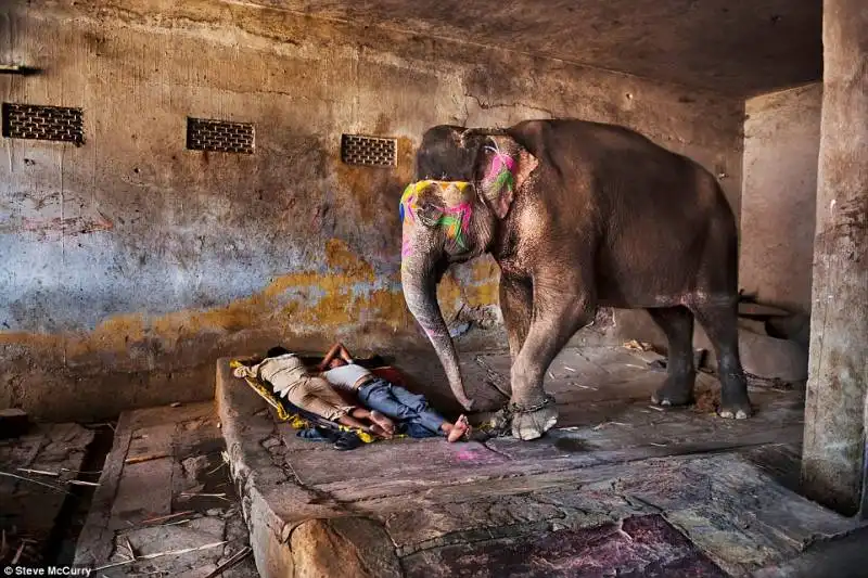 due giovani mahout   rajasthan 2012