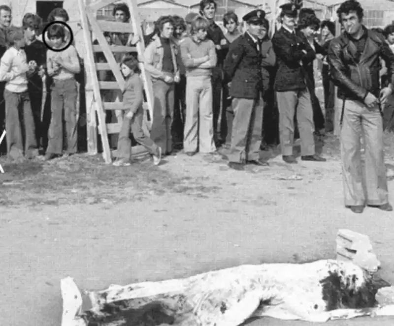 foto di pasolini dal libro massacro di un poeta di simona zecchi  9