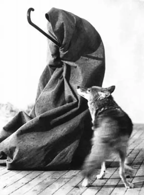 joseph beuys con coyote