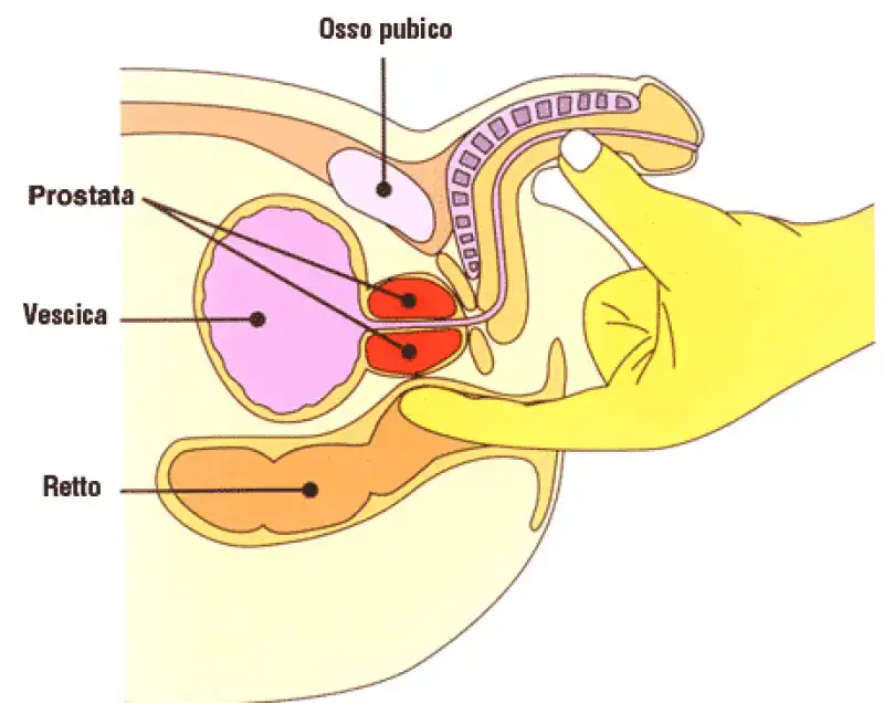 stimolazione prostata per via anale