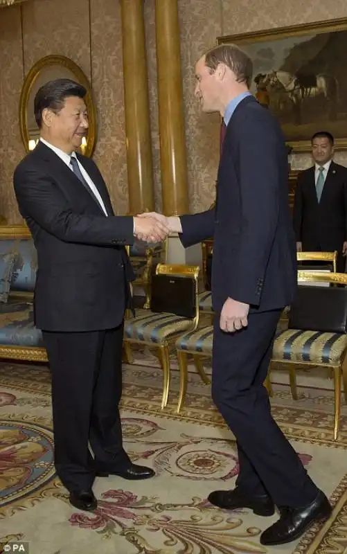 stretta di mano tra principe william e xi jinping