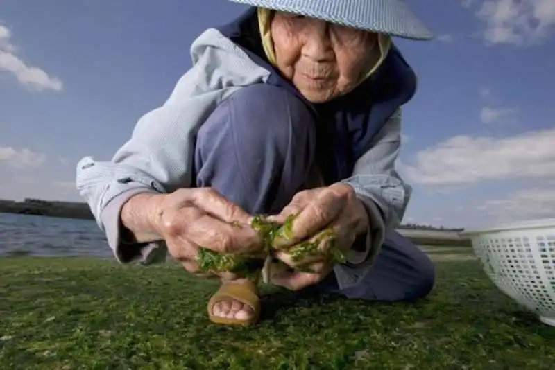 ANZIANI DI OKINAWA   