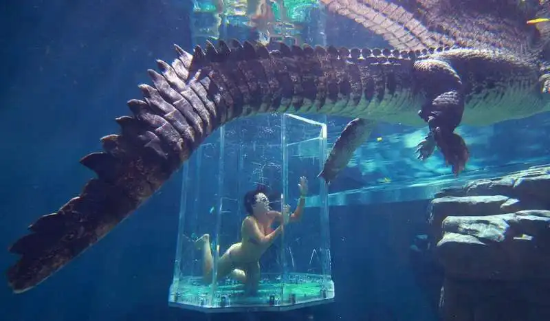 Crocosaurus Cove in Australia   