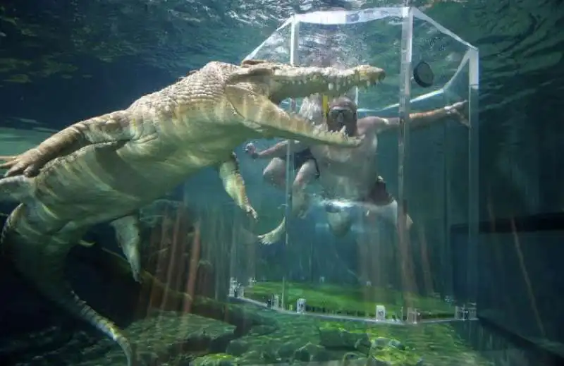 Crocosaurus Cove in Australia  