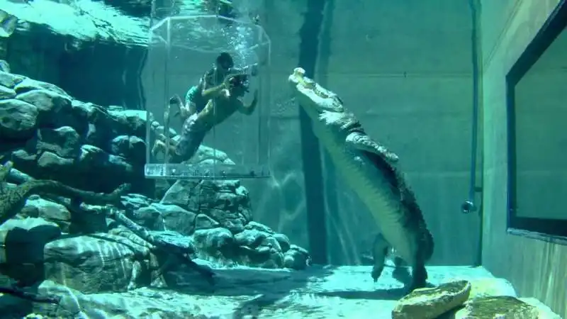 Crocosaurus Cove in Australia