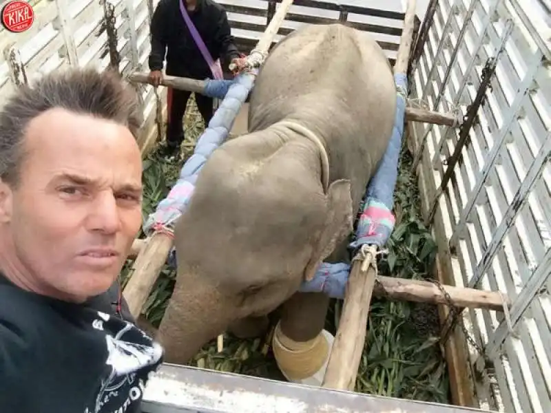 darrick thomson e l elefante