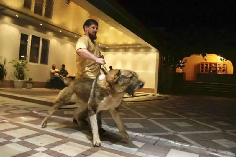 kadyrov  e il cane