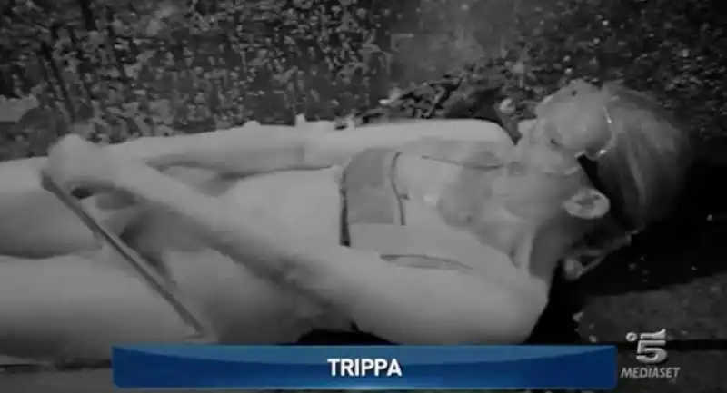 laura freddi trippa 