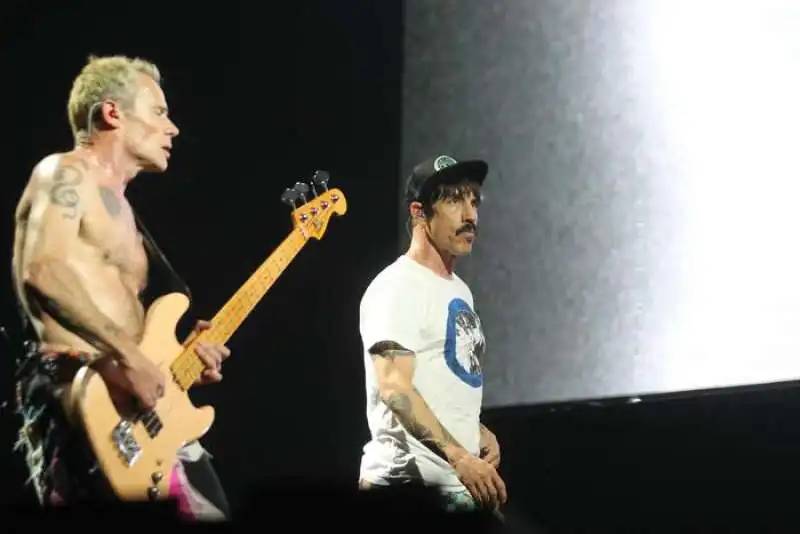 red hot chili peppers 6