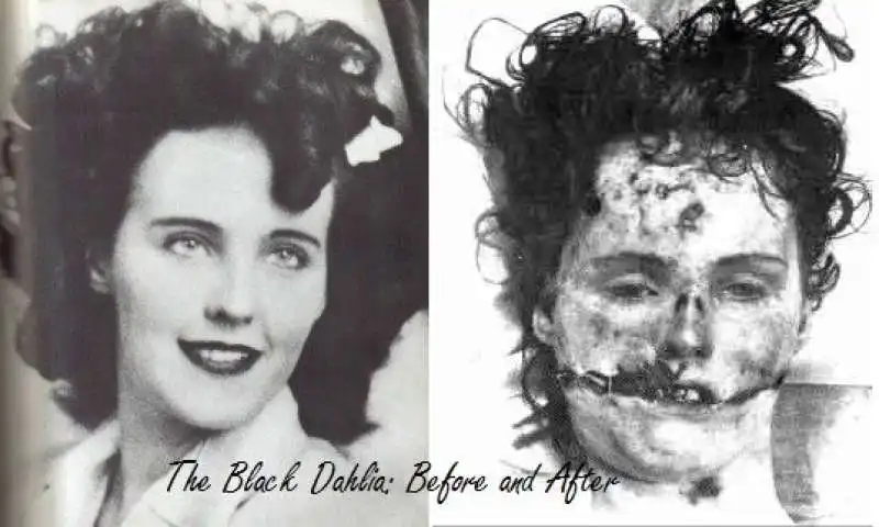 black dahlia 5