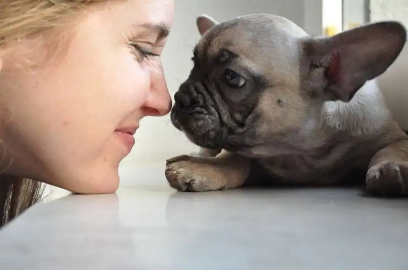 chiara ferragni e il carlino matilda