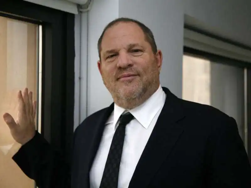 harvey weinstein copia