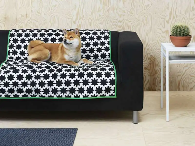 ikea per cani e gatti copia