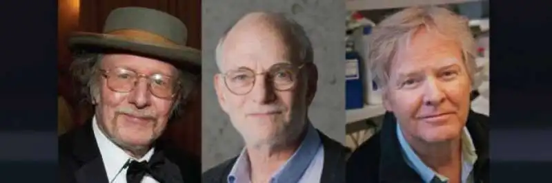 JEFFREY C HALL MICHEAL ROSBASH MICHAEL W YOUNG 