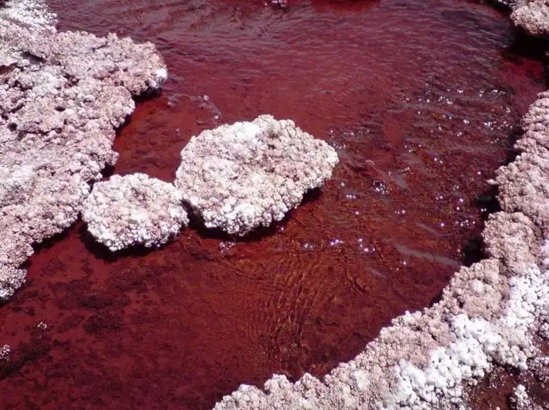 LAGUNA ROJA CILE. 2