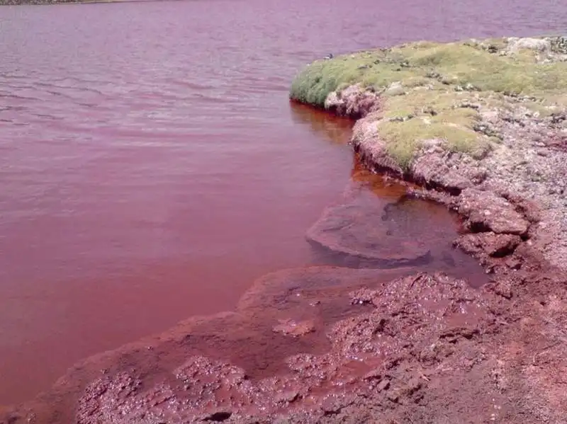 LAGUNA ROJA CILE. 4