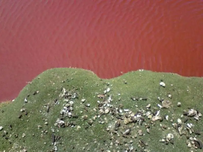 LAGUNA ROJA CILE