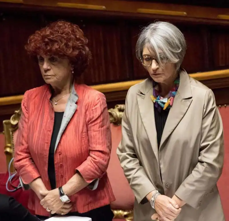 rosatellum senato Finocchiaro Fedeli