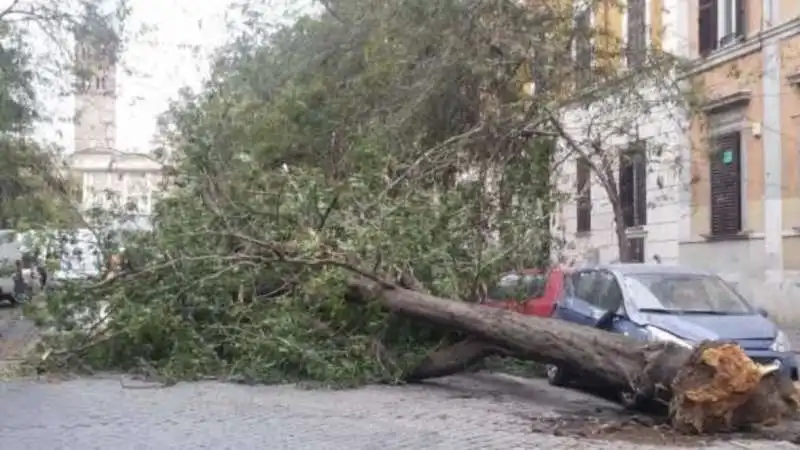 alberi crollati a roma 1