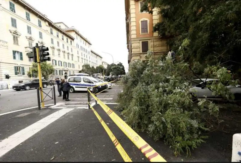 alberi crollati a roma 12