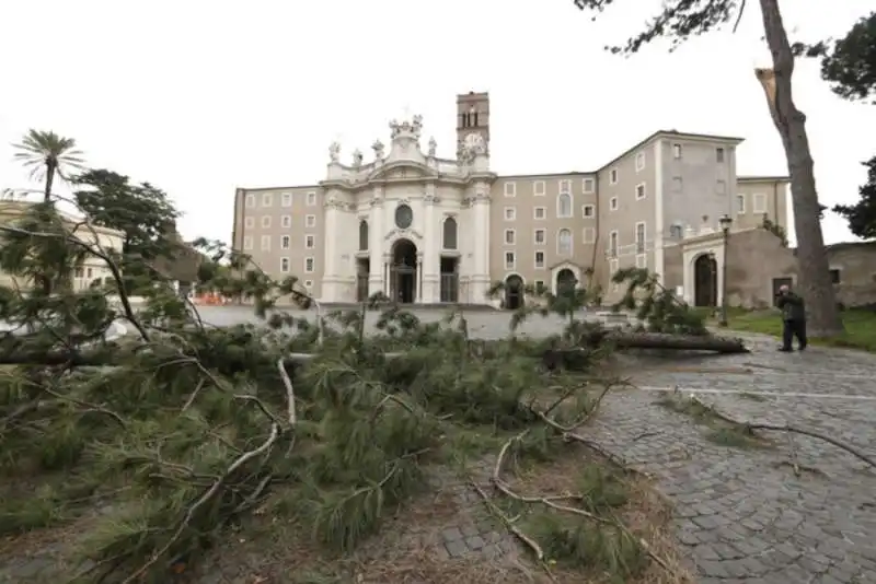 alberi crollati a roma 13