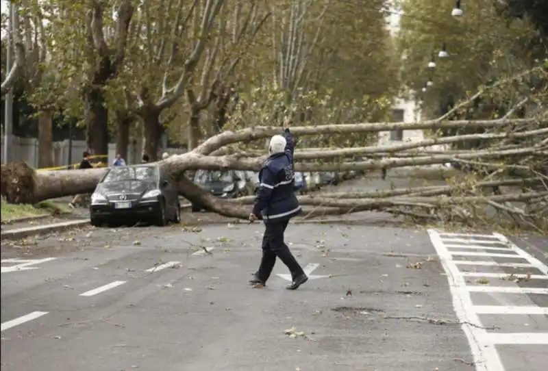 alberi crollati a roma 16