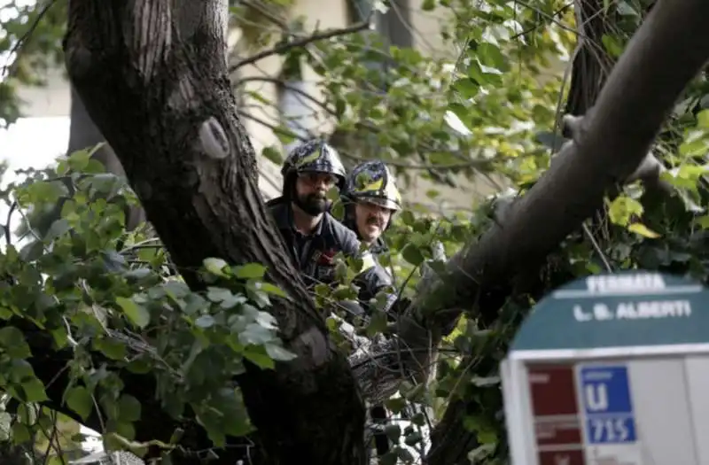 alberi crollati a roma 9