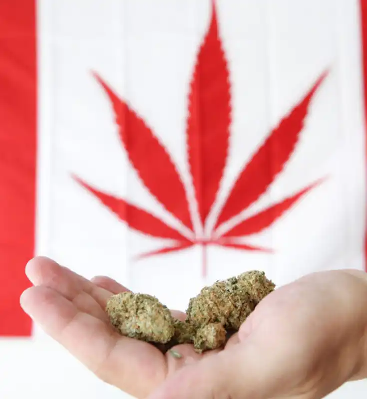 LEGALIZZAZIONE MARIJUANA IN CANADA