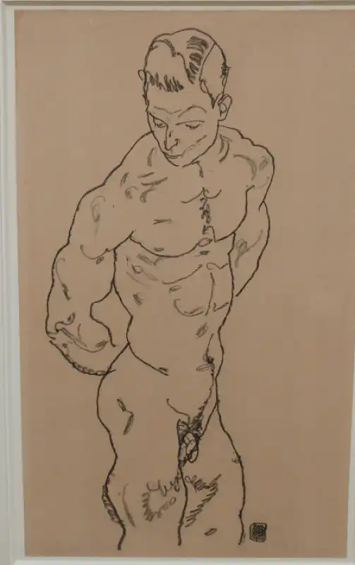 schiele d