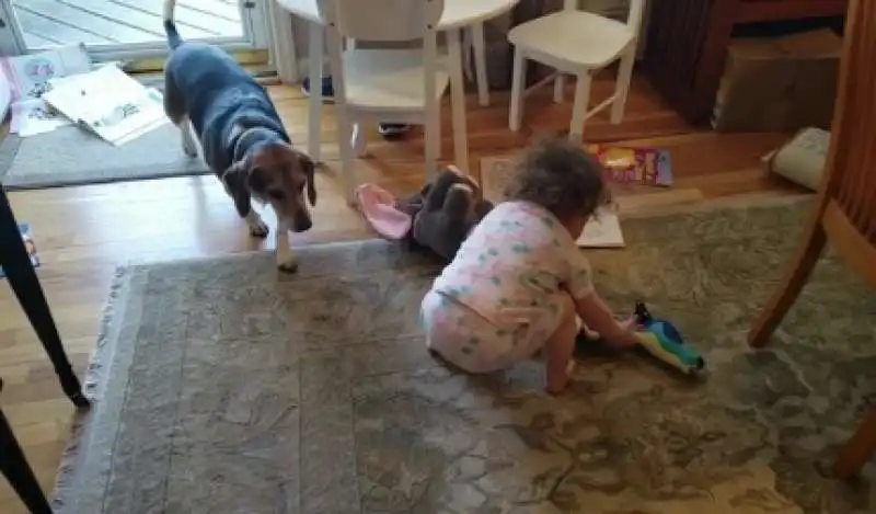 cane suona il pianoforte e bimba balla 6