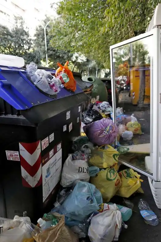 cassonetti ricolmi di rifiuti a roma 14