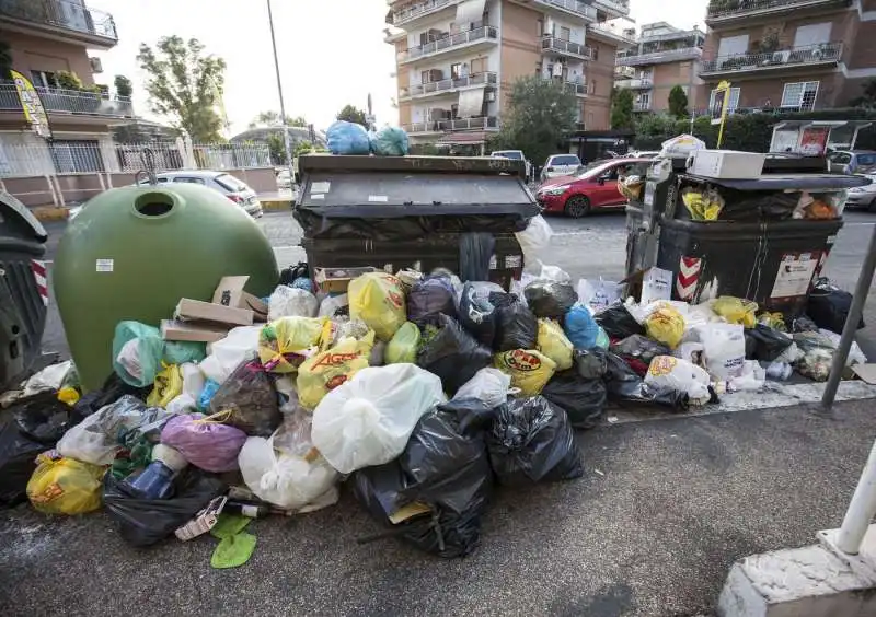 cassonetti ricolmi di rifiuti a roma 19