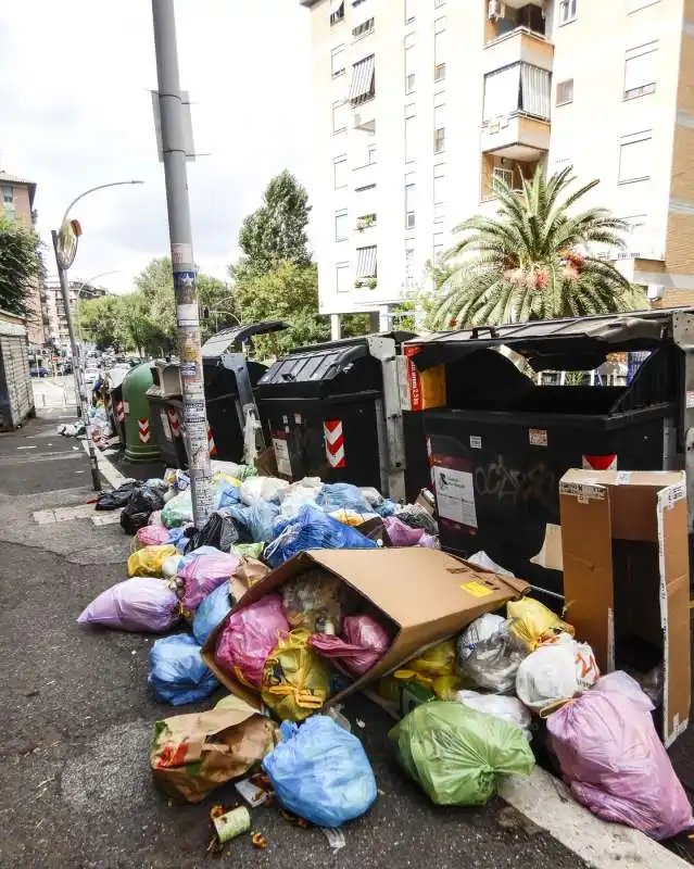 cassonetti ricolmi di rifiuti a roma 29