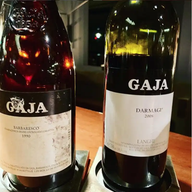 gaja